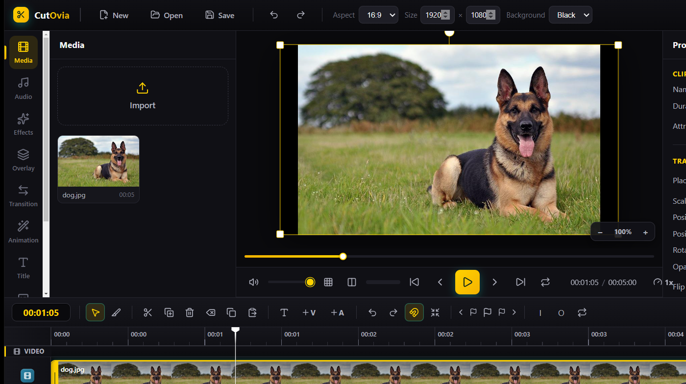 The CutOvia video editor interface